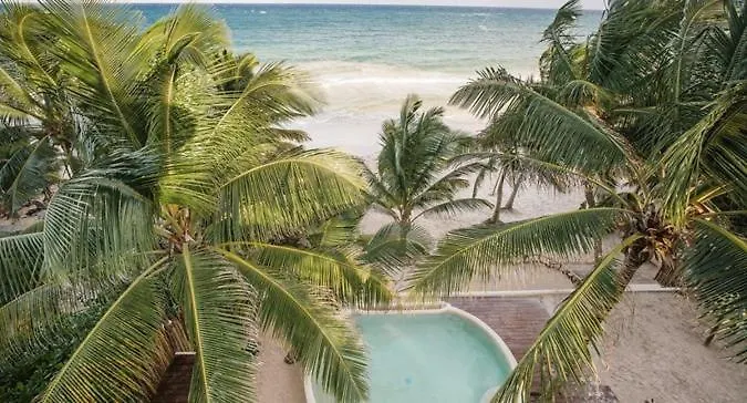 Beachfront Villas In Tulum Beach- Best Location!