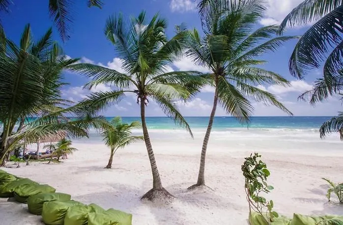 Beachfront Villas In Tulum Beach- Best Location!