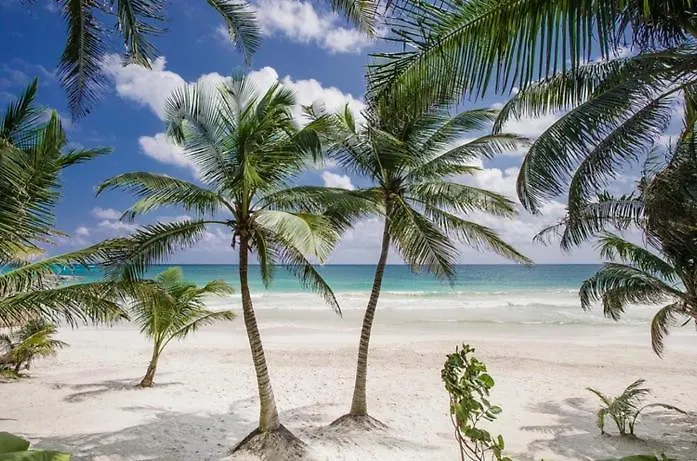 Beachfront Villas In Tulum Beach- Best Location! 0*,
