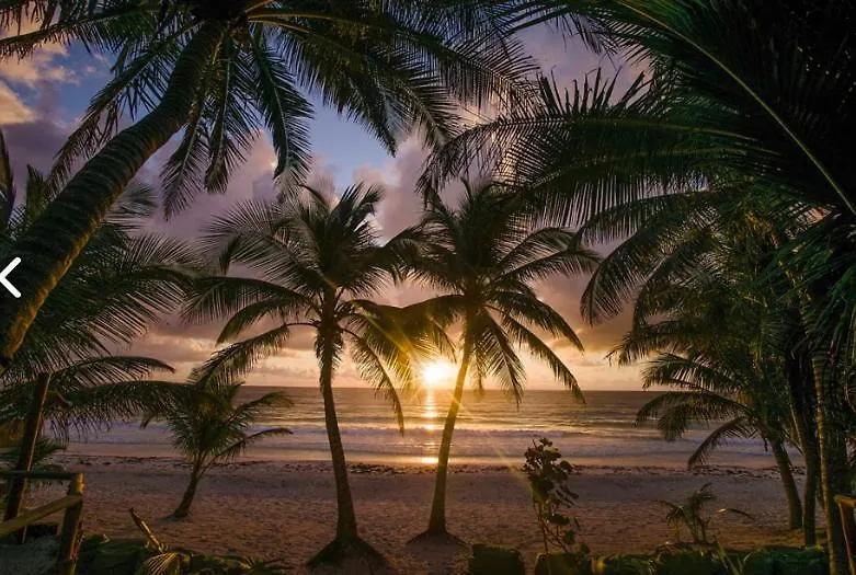 Beachfront Villas In Tulum Beach- Best Location!